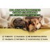 TWX® Home Pet απομάκρυνσης οσμών & λεκέδων 